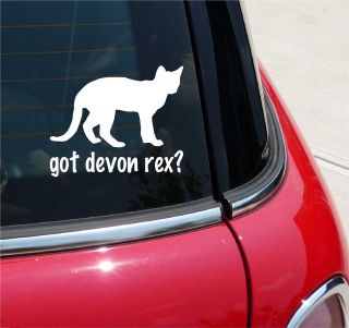 GOT DEVON REX? CAT GRAPHIC DECAL STICKER VINYL CAR WALL