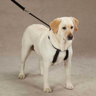 Guardian Gear Adjustable Anti Pull Dog Pet Harness