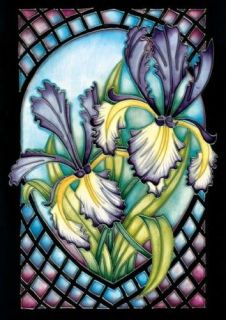 siberian iris in Flowers, Trees & Plants