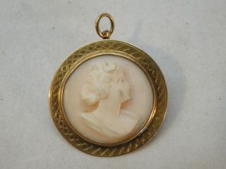 ANTIQUE CAMEO 10K YELLOW GOLD CARVED BROOCH PIN PENDANT SHELL RARE 