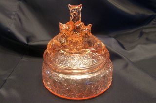 Pink Powder Dish with Scottish Terrier Dogs on Lid