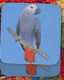 AFRICAN GREY PARROT Rubber Backed Coasters #0153