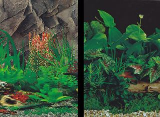 Aquarium Fish Tank Background by the foot ~ 24 Height Two Sided 