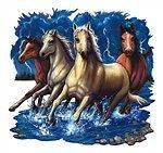 Wild Horses Running Thru Water & Lightning T Shirt Tee Tank Top 