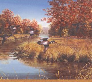 Hautman Brothers Duck in Fall Marsh Sale$9 Wallpaper Border 407