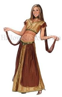 Exotic Belly Arabian Genie Gypsy Jasmine Dancer Adult Costume Cheap 