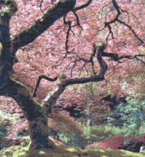 JAPANESE MAPLE ~ Cross Stitch Fine Art Pattern ~ Trees, Gardens