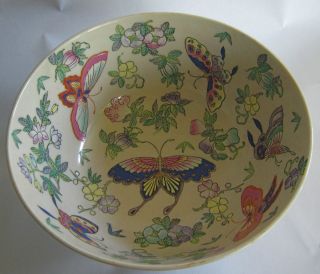 Butterflies Bowl Colorful Beautiful Porcelain from Macau Colorful 