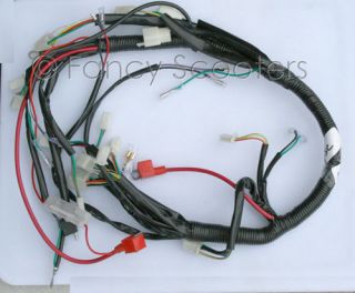 TPATV516 /CPSC Whole Wireharness 110CC Kid Utility Hummer Style ATVs