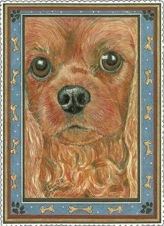 Beautiful Ruby Cavalier King Charles Spaniel, blank note card