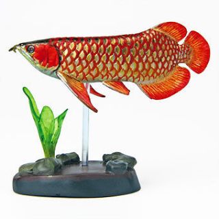 Kaiyodo Yujin Colorata Fossil Fish Asian Arowana Figure Model Rare