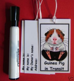 GUINEA PIG PAINTING CARRIER TAGS & PEN SUZANNE LE GOOD