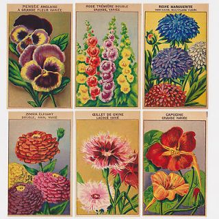 vintage seed packets in Agriculture