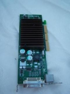 NVIDIA GeForce 64MB DDR AGP DVI Low Profile Video Card
