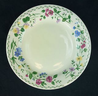 English Garden Farberware China Salad Plate Floral White Background