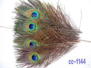 New 30pcs real Natural color Peacock Tail Feathers 10 12 inches 25 30 