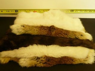 Rabbit fur hides Pelts White, Natural, Dark Brown You Choose color 