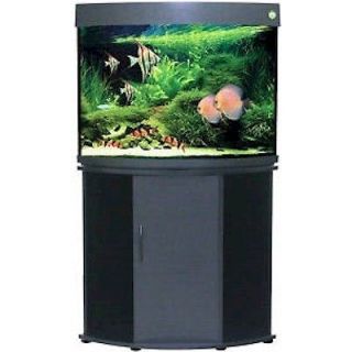 corner fish tank in Aquariums