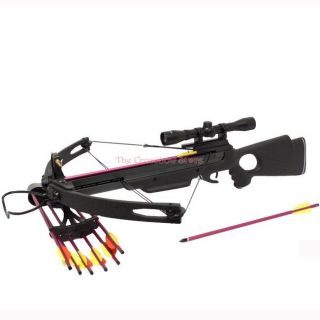 compound crossbows in Crossbows