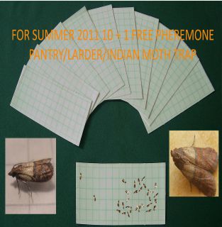 KRITTERKILL PANTRY/LARDER MOTH PHEROMONE TRAP refills x 10