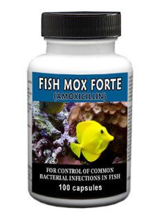   Amoxicillin 500mg 100ct Extra Strength ♦ Latest Exp Dates Fish Mox