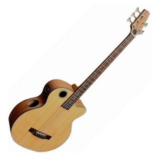 Boulder Creek EBR3 N5F Electro Acoustic Fretless 5 String Bass Guitar
