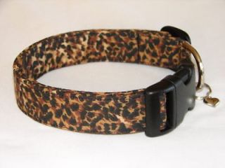 leopard dog collars in Collars & Tags