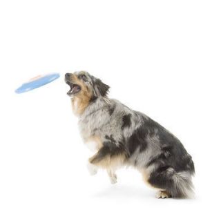 Planet Dog 9.5 Orbee Tuff Zoom Flyer Disc Frisbee Toy
