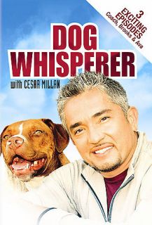 DVD Dog Whisperer 2004 Cesar Milan 3 Episodes Harry Brooks Sueki Coach 