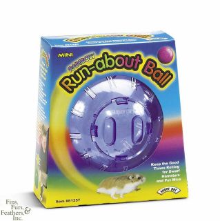 Super Pet Mini Rainbow Run About Ball for Hamsters (As