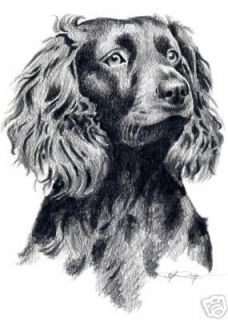 BOYKIN SPANIEL Dog Drawing ART 5 x 7 Print Signed DJR