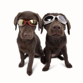 Doggles Dog Goggles ILS UV Eye Safety Protection