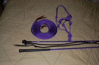 SOFT OR STIFF HALTER, 12 LEAD ROPE & TRAINING STICK FITS ANDERSON OR 
