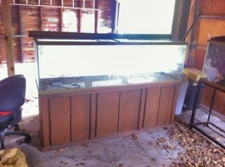 125 gallon aquarium or fish tank fish tank   