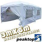 Peaktop 20x10 EZ Pop Up Party Tent Canopy Gazebo 6 Walls Silver Free 