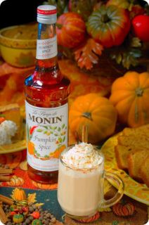 Monin Pumpkin Spice Syrup case of 12/750ml (Seasonal)