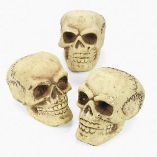 Foam Skulls / LOT OF 3 SKULLS / HALLOWEEN (70/1653)