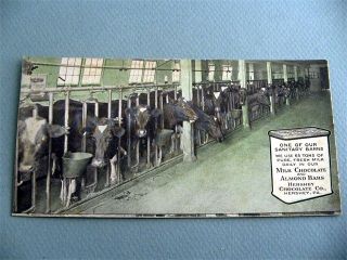HERSHEY Chocolate Dairy Cow Barn Advertising Antique Postcard