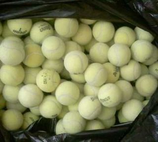 Sporting Goods  Tennis & Racquet Sports  Tennis  Balls