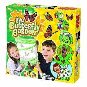 Butterfly Garden Live Insect Lore Habitat Painted Lady