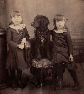   Card photo Curly Coated irish Water Spaniel dog 2 girls children