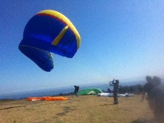 Used Advance Alpha 3 26 Paraglider, beginner glider in great shape