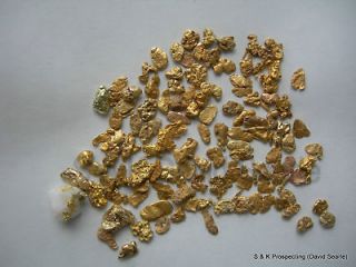 montana gold panning