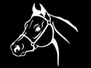   Horse Head Equestrian car window laptop trailer decal sticker graphic