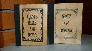 Harry Potter/Hogwards 2 books of Spells and Charms, and Curses, Hexes 