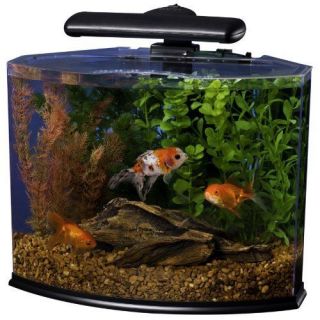 gallon fish tank in Aquariums