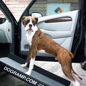 dog car ramp in Ramps & Stairs