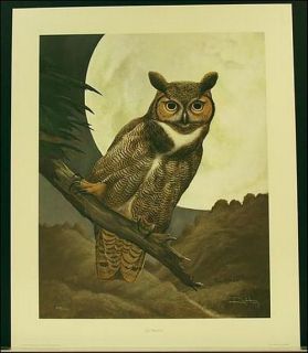 Ray Harm GREAT HORNED OWL 24x 20 signed and numbered never 