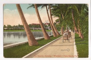 Ramble Palm Beach FL Whitehall c.1910 bicycle rickshaw