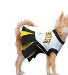 Pet   dog   Steelers cheerleader dress   outfit